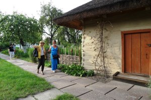Усадьба А. Довженко, Сосница